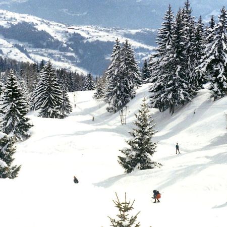 Woodland Village Anzere Ayent Exteriér fotografie
